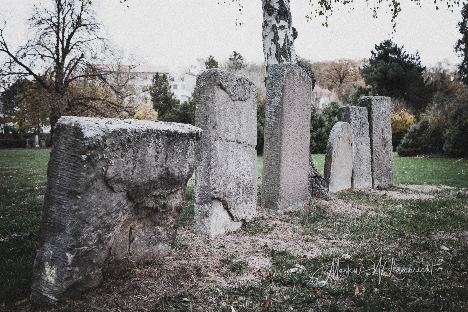 Witzenhausen, Jüdischer Friedhof